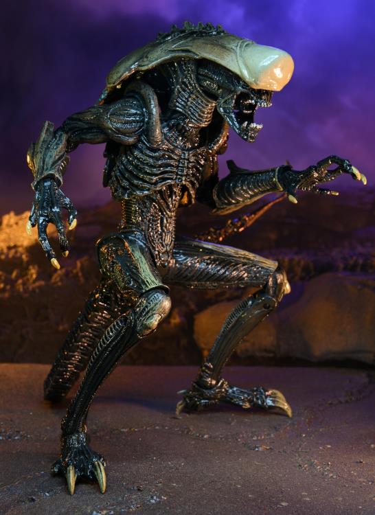 Alien vs. Predator Aliens Set of 3 Figures Movie Deco