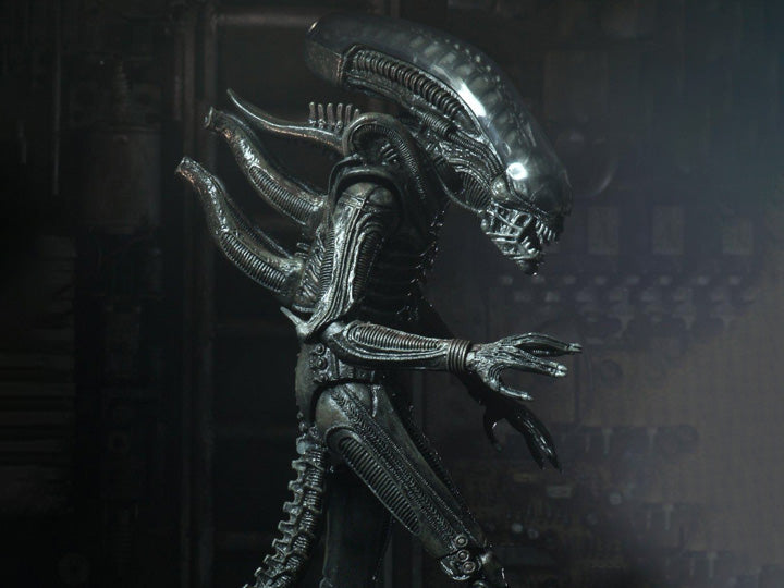 Neca - Alien - Ultimate 40th Anniversary Big Chap