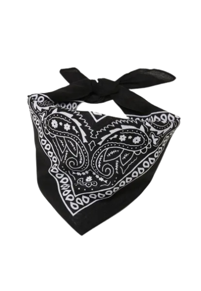Europe Bound Bandanas 5 pack