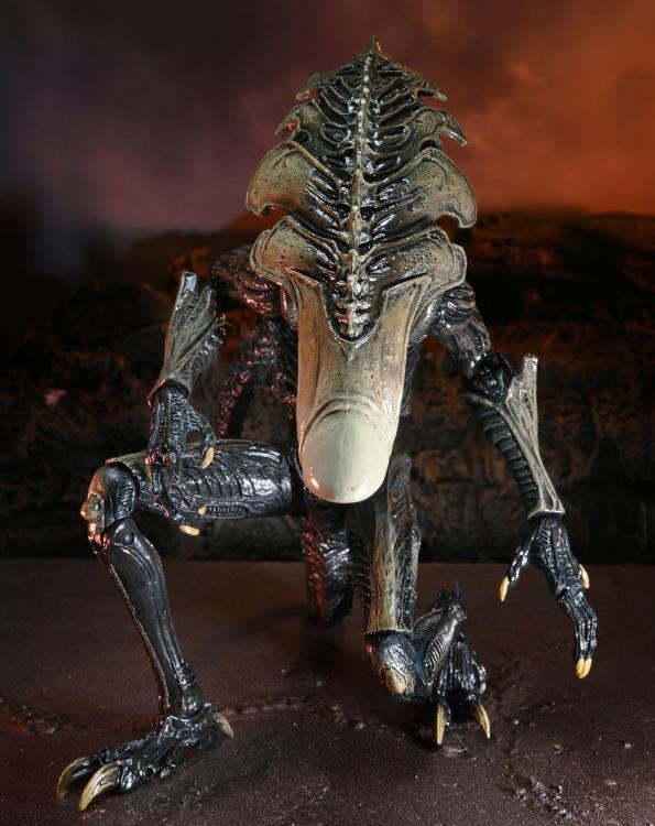 Neca - Alien vs. Predator Chrysalis (Movie Deco) Figure