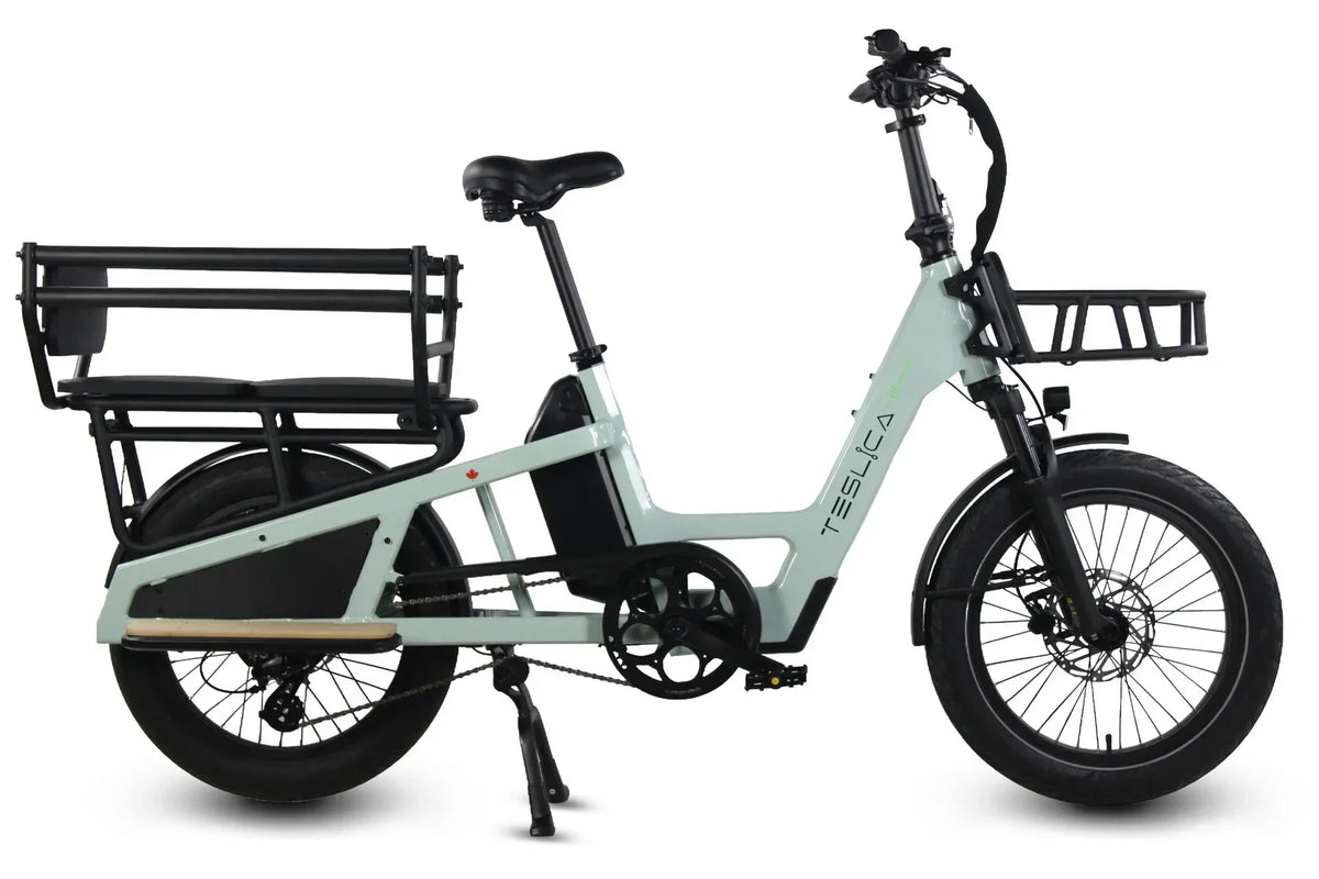 Care-Go Cargo Long-Tail eBike (CG3)