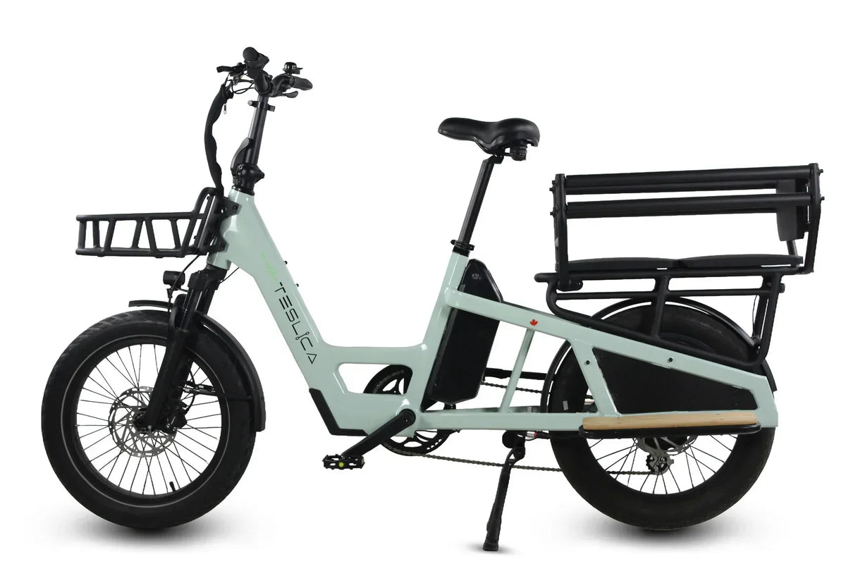 Care-Go Cargo Long-Tail eBike (CG3)