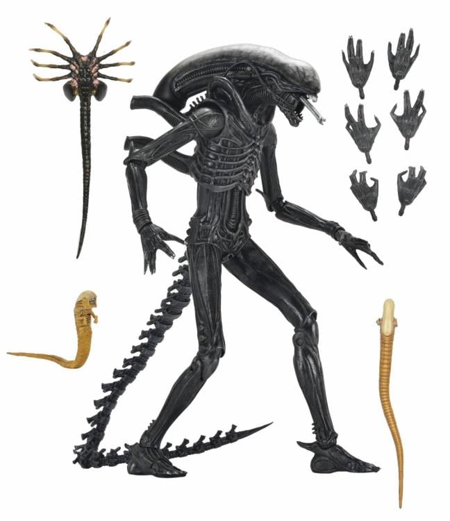 Alien: Romulus Ultimate Xenomorph XX121
