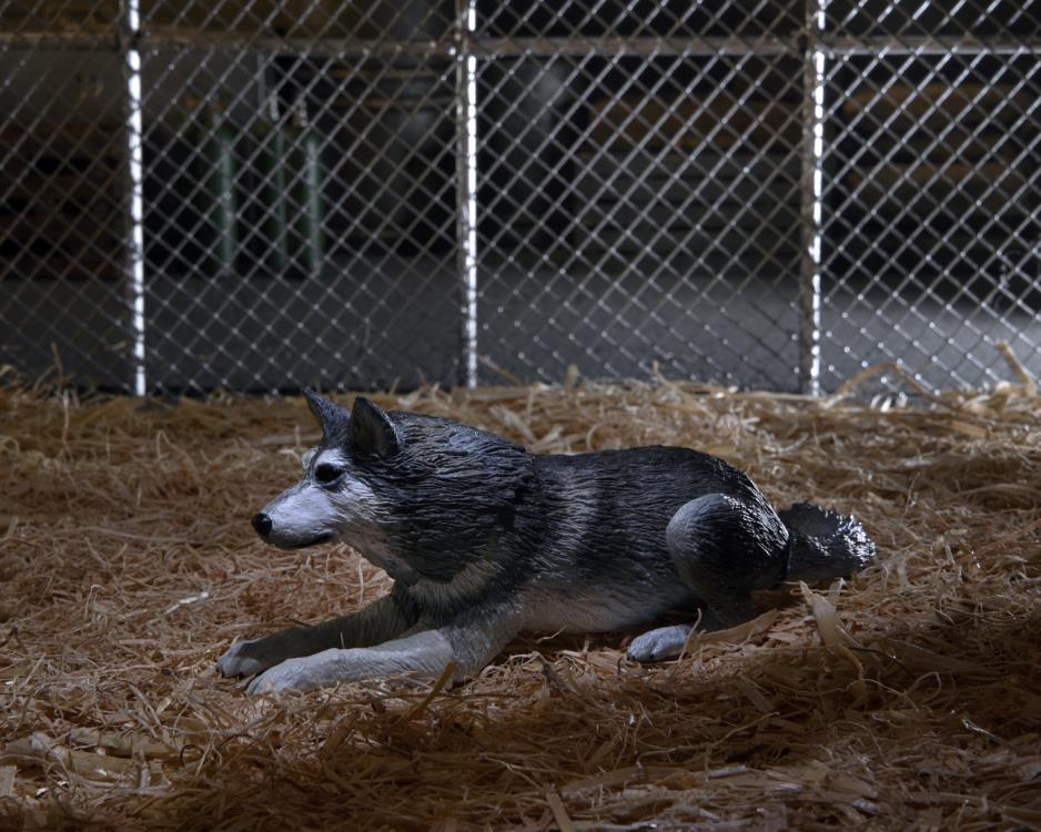 The Thing Ultimate Dog Creature Set