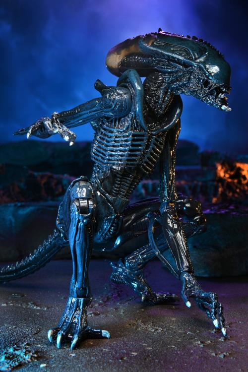 Neca - Alien vs. Predator Arachnoid - Movie Deco