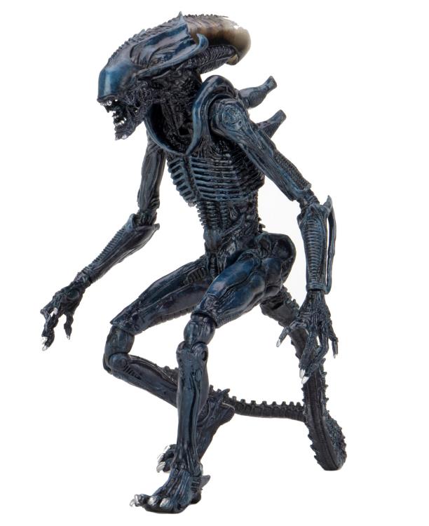 Neca - Alien vs. Predator Arachnoid - Movie Deco