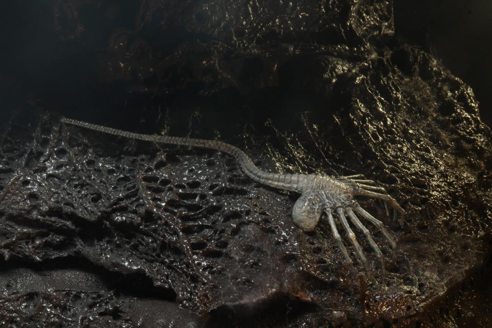 Neca Alien 40th Anniversary Giger's Alien