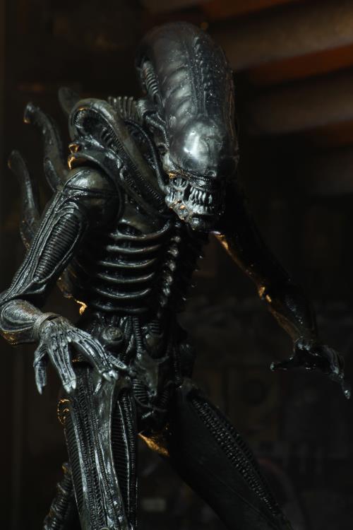 Neca - Alien - Ultimate 40th Anniversary Big Chap