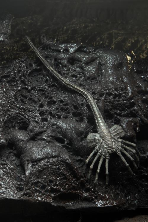 Neca Alien 40th Anniversary Giger's Alien
