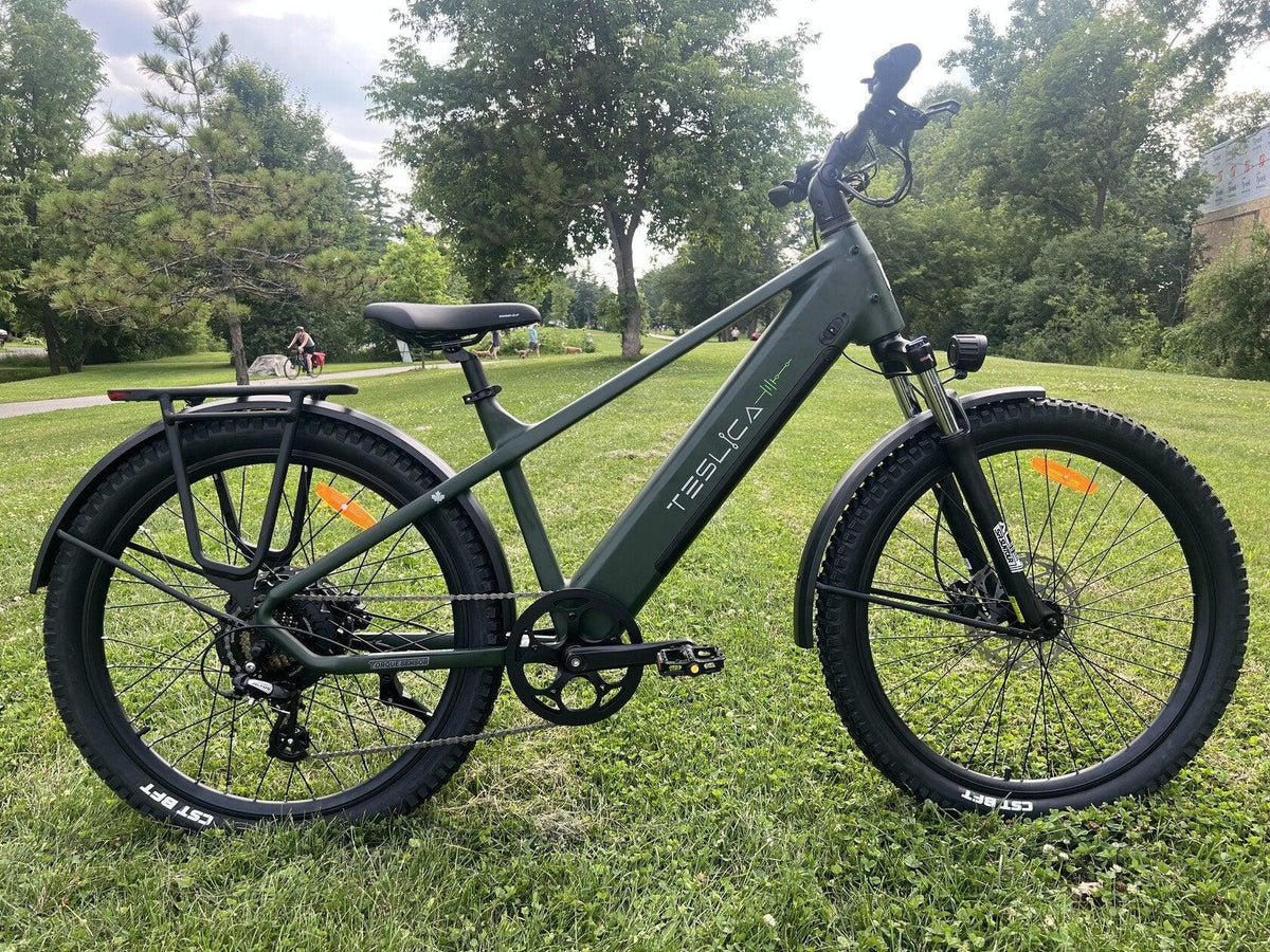 Purity Hybrid Elite eBike (H3H)