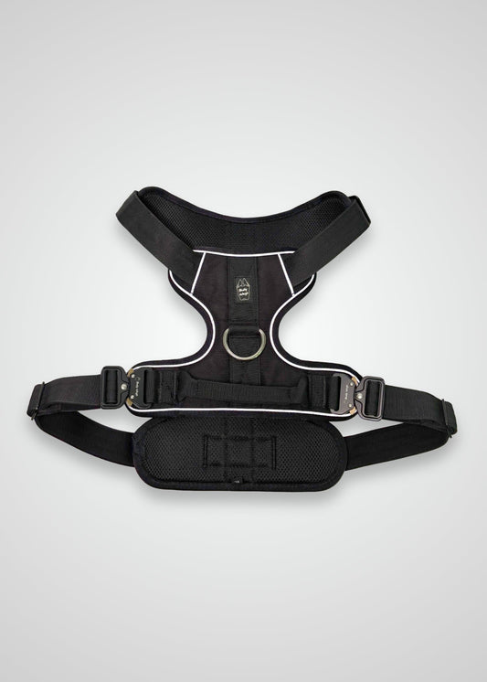 Heavy-Duty Everyday Harness - Black