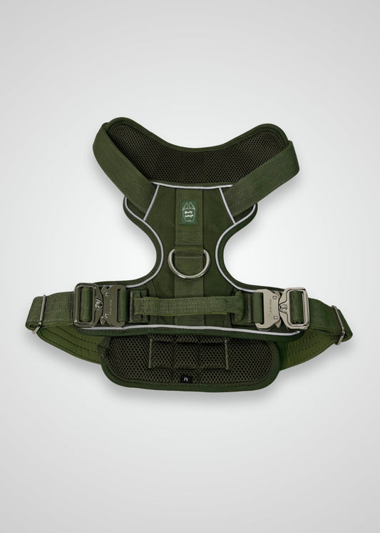 Heavy-Duty Everyday Harness - Cactus Green