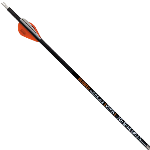 Carnage Hermes 500 Spine 6.2mm Carbon 32" 12-Pack Arrows