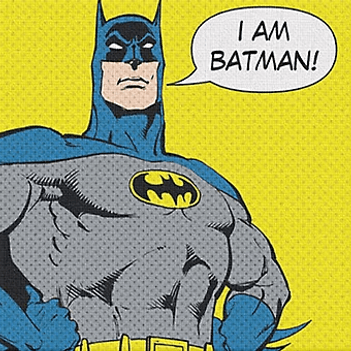 I Am Batman 12x12 Canvas Wall Art
