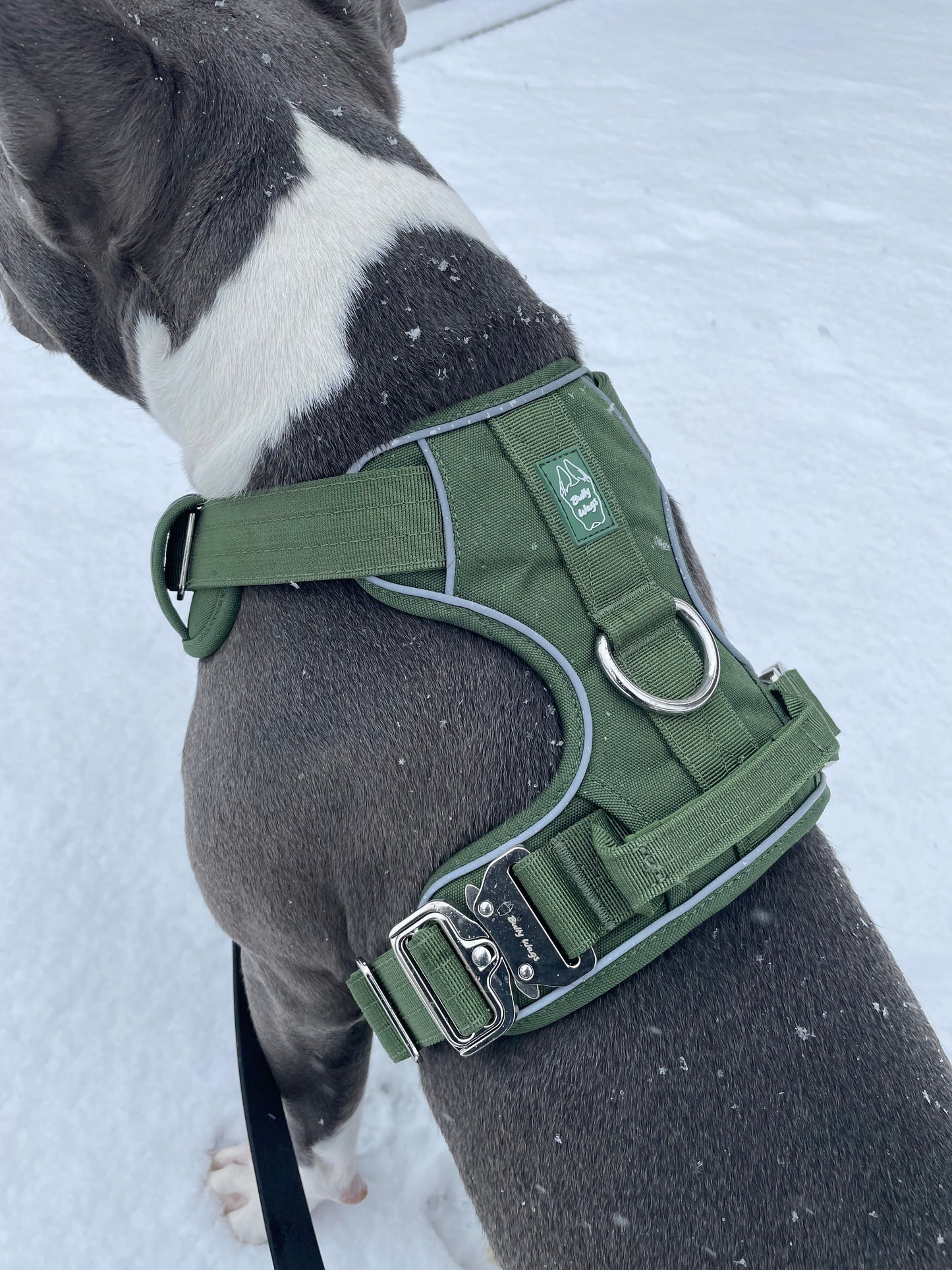 Heavy-Duty Everyday Harness - Cactus Green