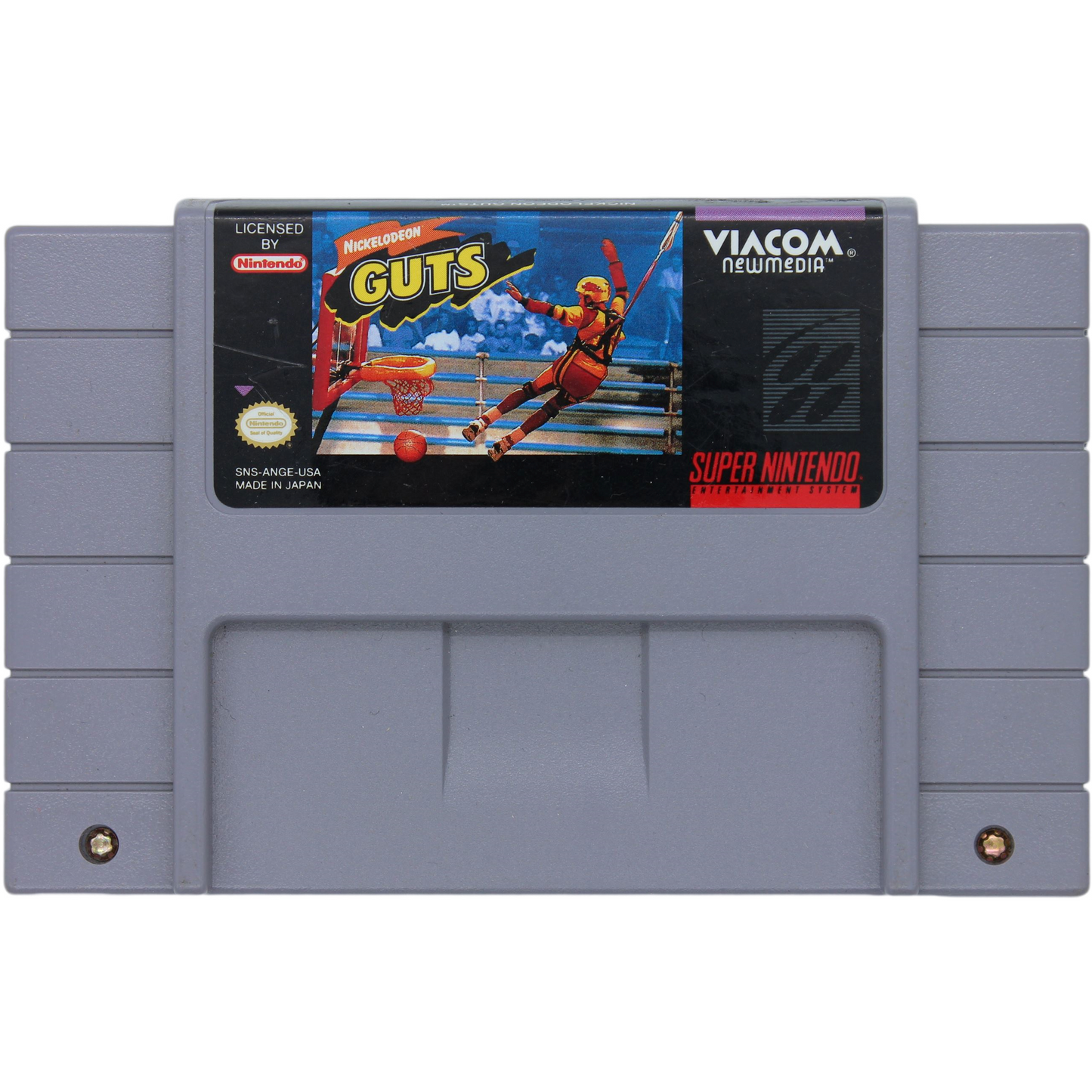 Nickelodeon Guts
