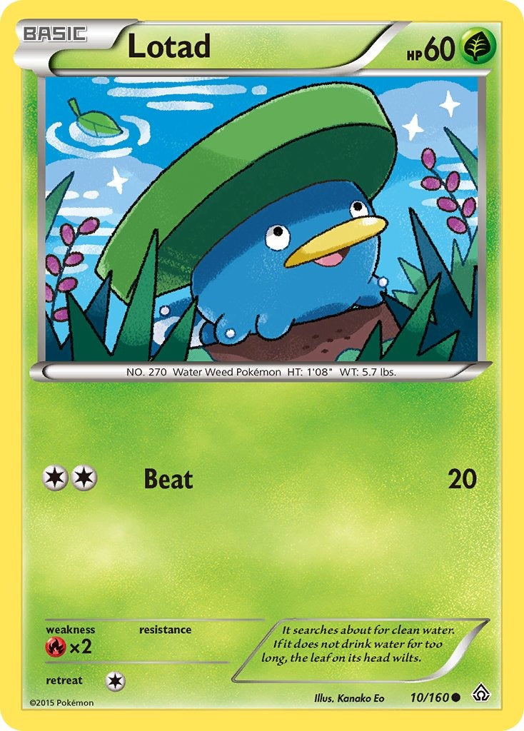 Lotad 10/160