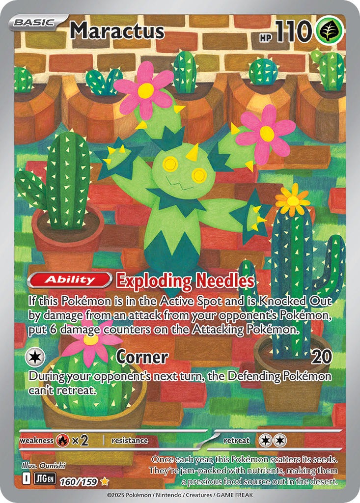 Maractus 160/159