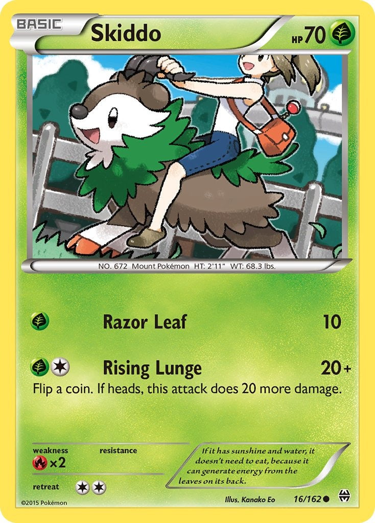 Skiddo 16/162