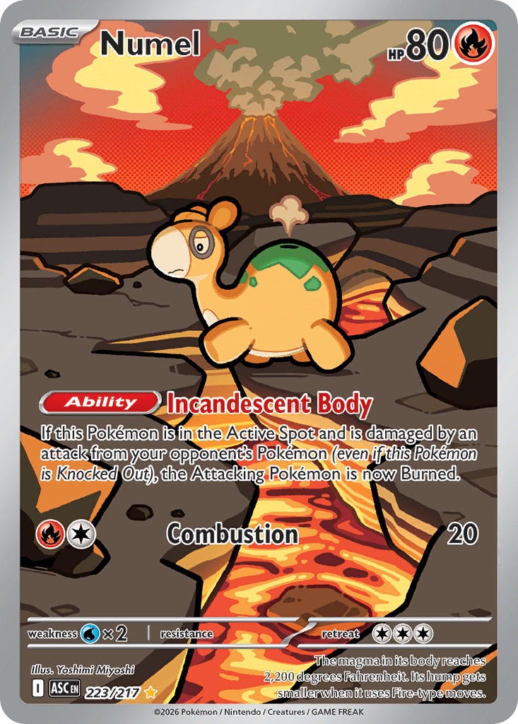 Numel 223/217