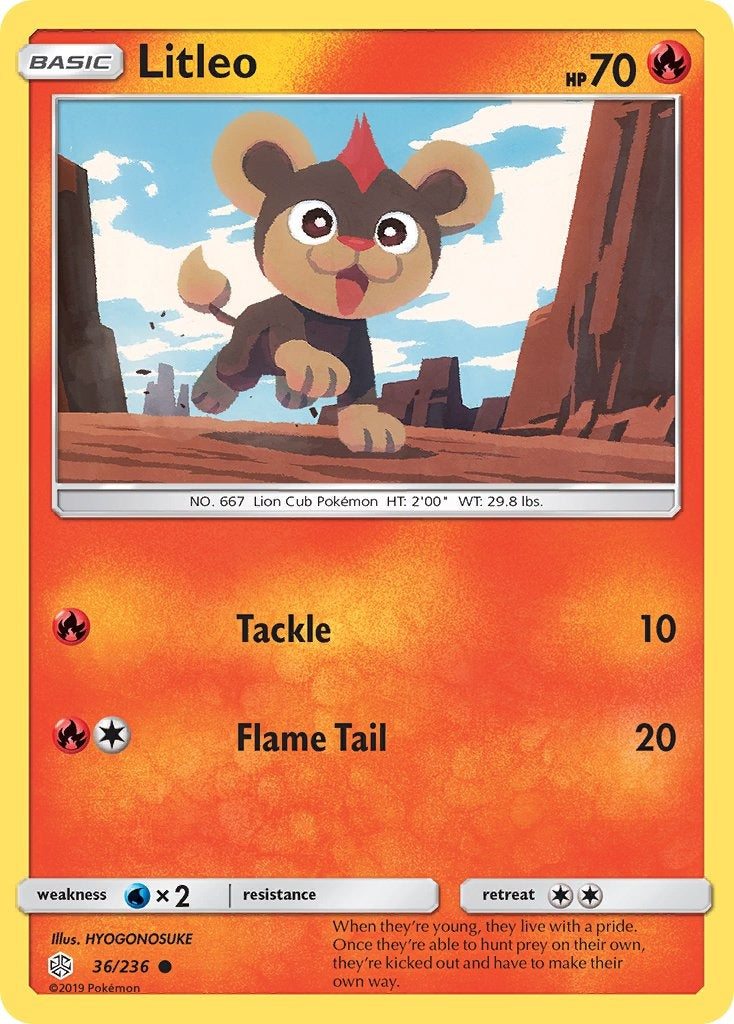 Litleo 036/236