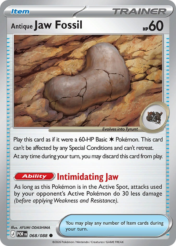Antique Jaw Fossil 068/088
