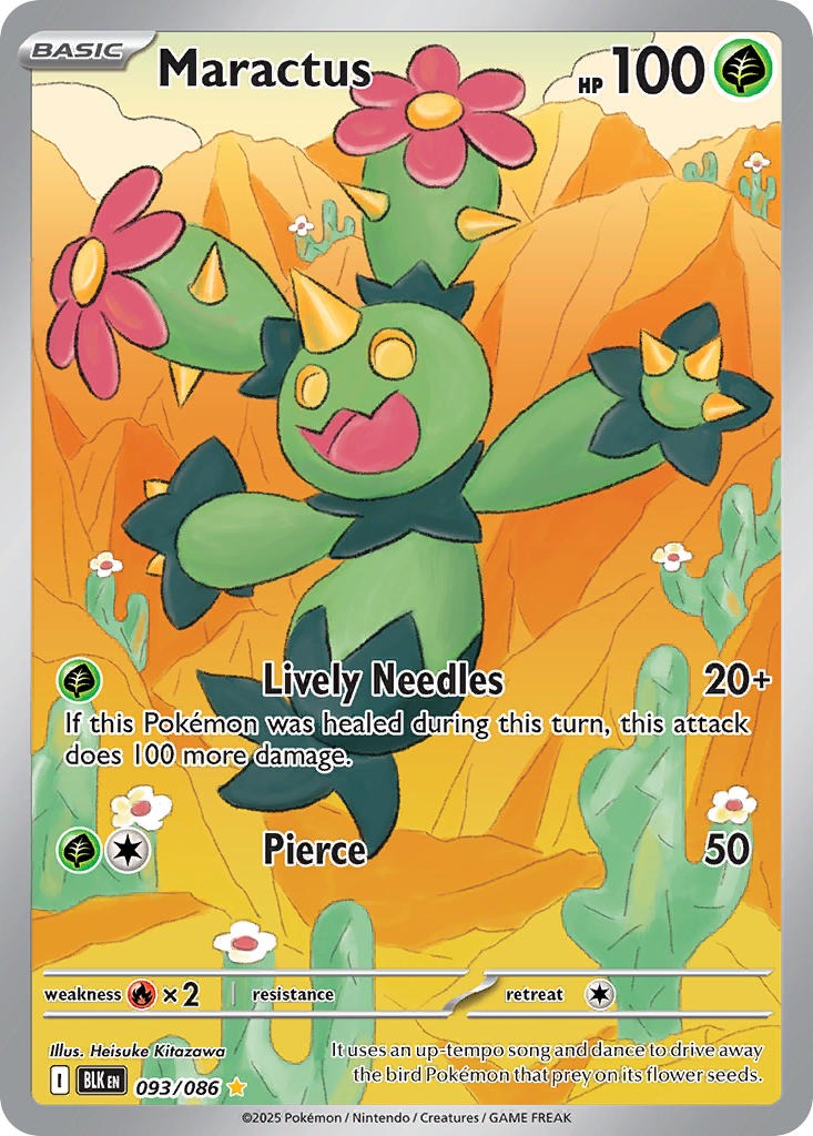 Maractus 093/086