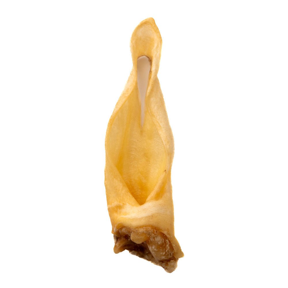 Lamb Ear