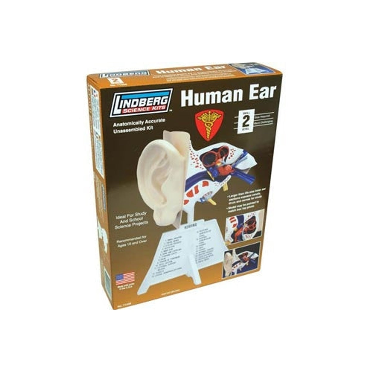 Lindberg 71308 Human Ear Educational Kit (Level 2) NIB