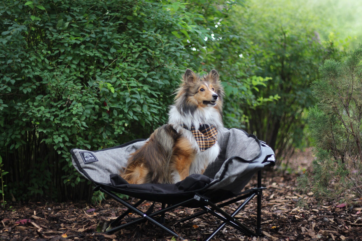 KUMA Little Lazy Bear Dog Chair
