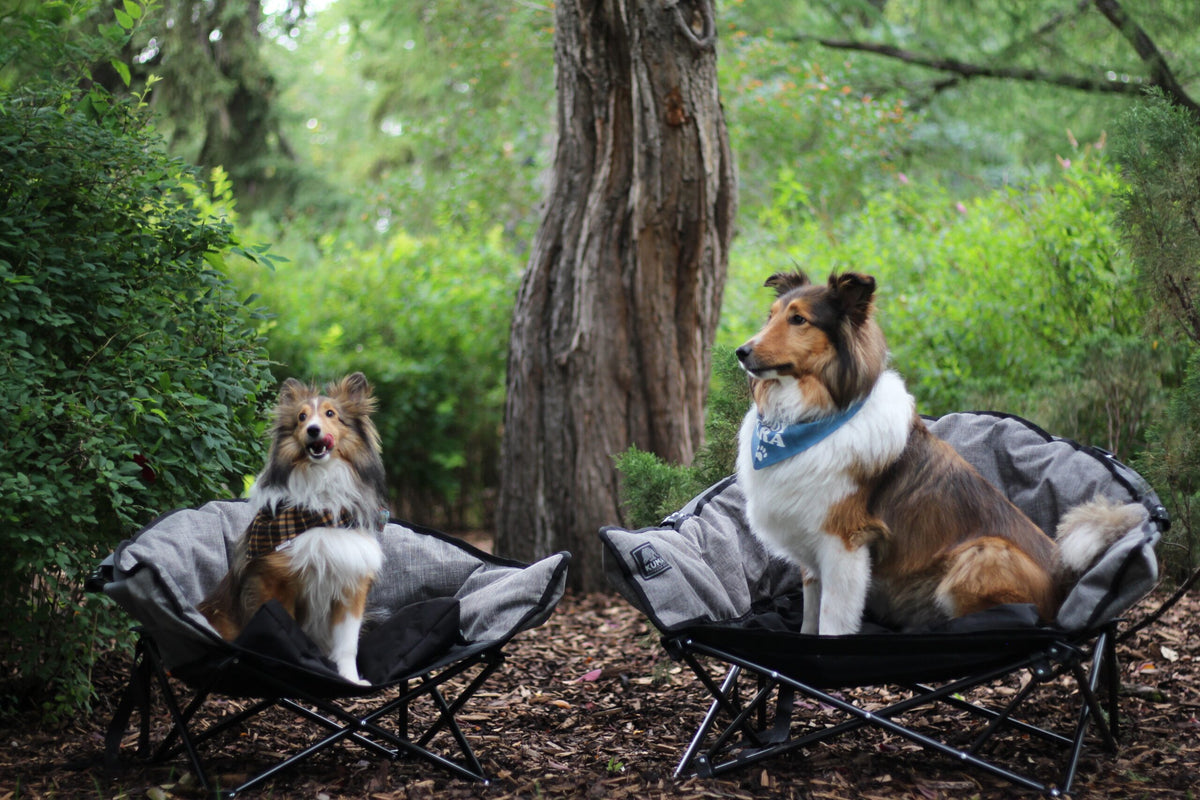 KUMA Little Lazy Bear Dog Chair