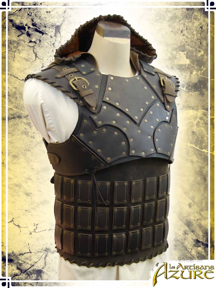 Scoundrel Armor with Hood