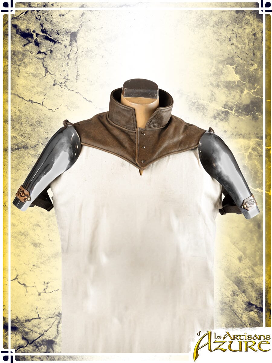 Gambeson Leather Collar
