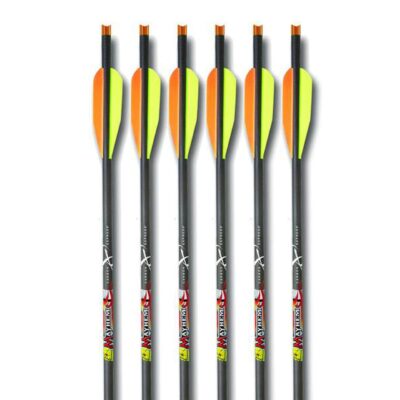 https://www.feradyne.com/wp-content/uploads/2018/04/products-CX_Crossbow_Hunting_Bolts_Mayhem__54142.1568657651.1280.1280-400x400.jpg