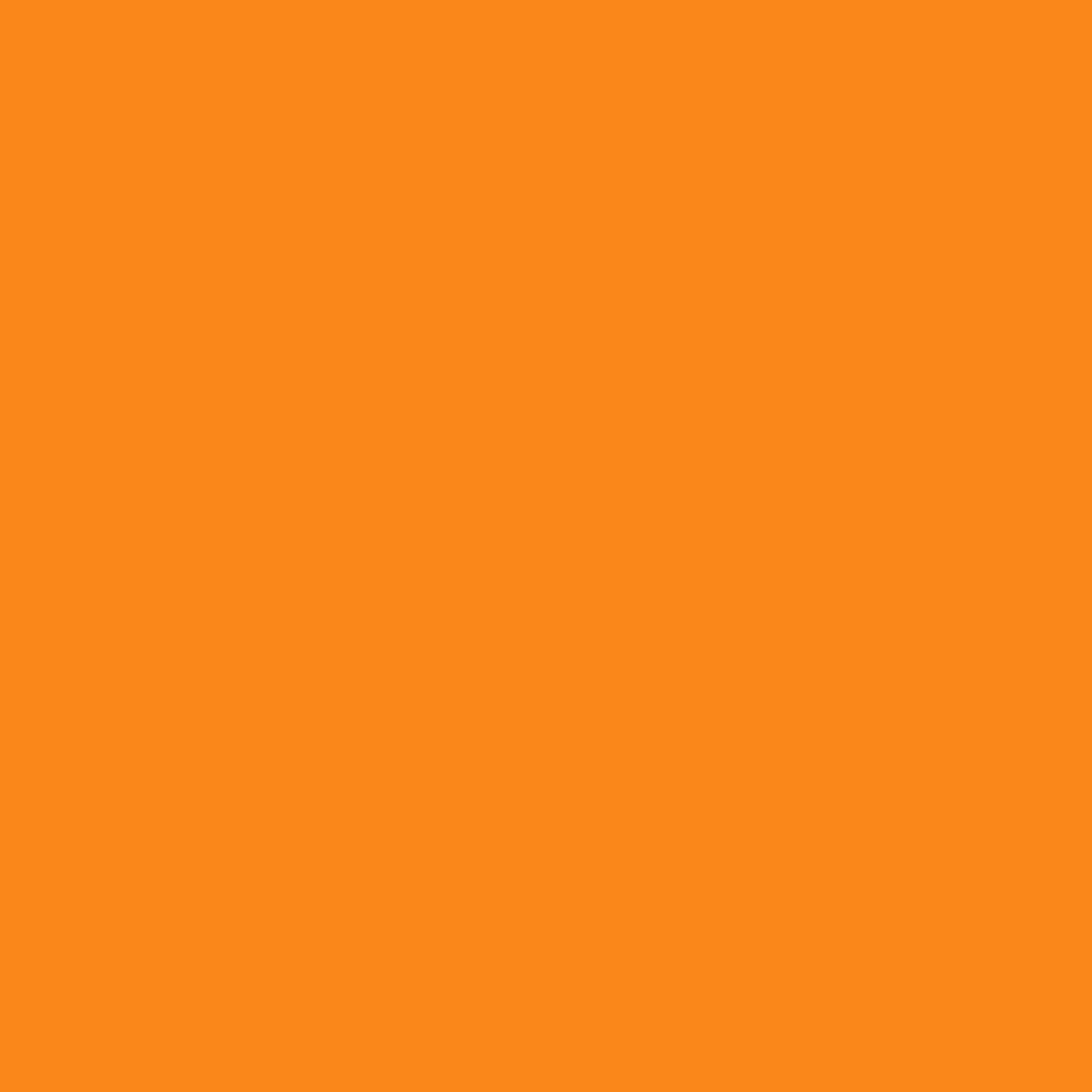 Rapido Proto-Paint 330036 Ontario Northland Yellow Acrylic Airbrush Ready Paint 1oz (29.5mL) NIB