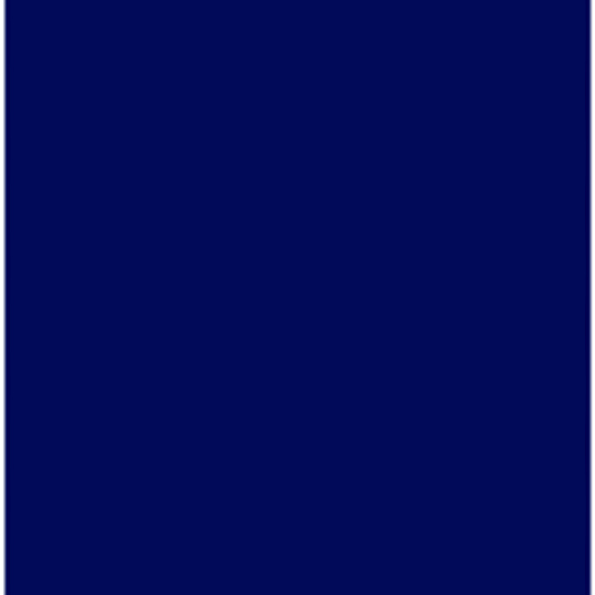 Rapido Proto-Paint 330042 BCR Blue Acrylic Airbrush Ready Paint 1oz (29.5mL) NIB