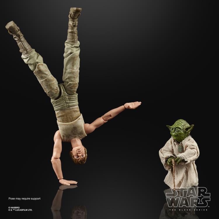 Star Wars 40th Anniversary The Black Series 6" Deluxe Luke Skywalker & Yoda (Jedi Training) Two-Pack