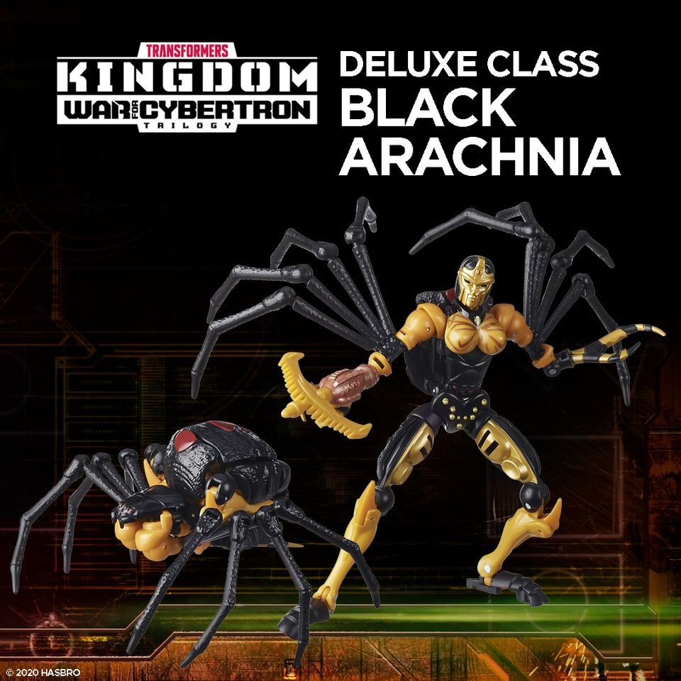 Transformers War for Cybertron Kingdom DELUXE BLACK ARACHNIA