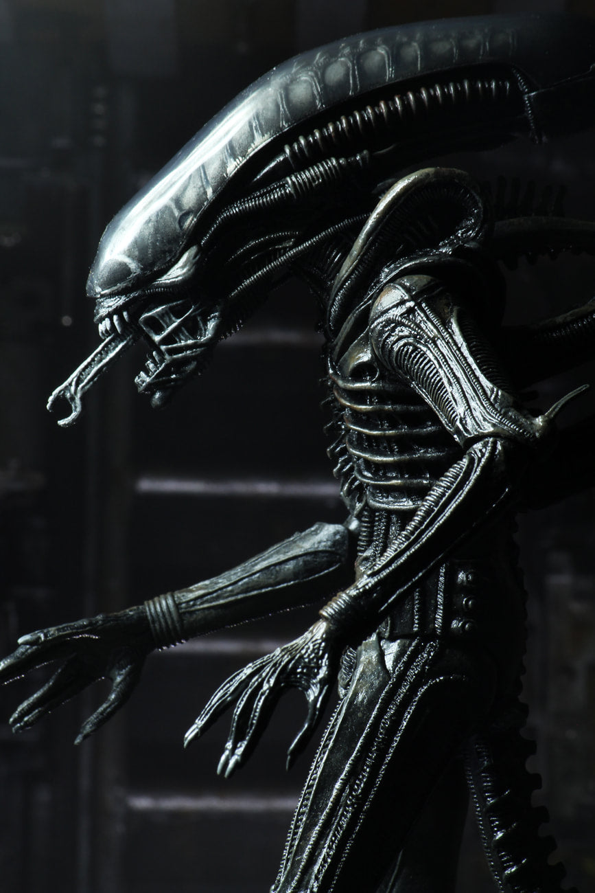 Neca - Alien - Ultimate 40th Anniversary Big Chap