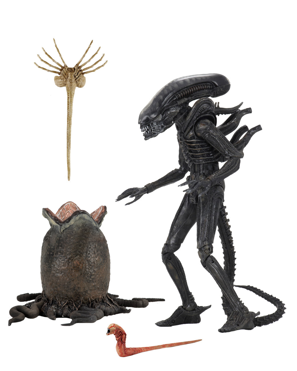 Neca - Alien - Ultimate 40th Anniversary Big Chap