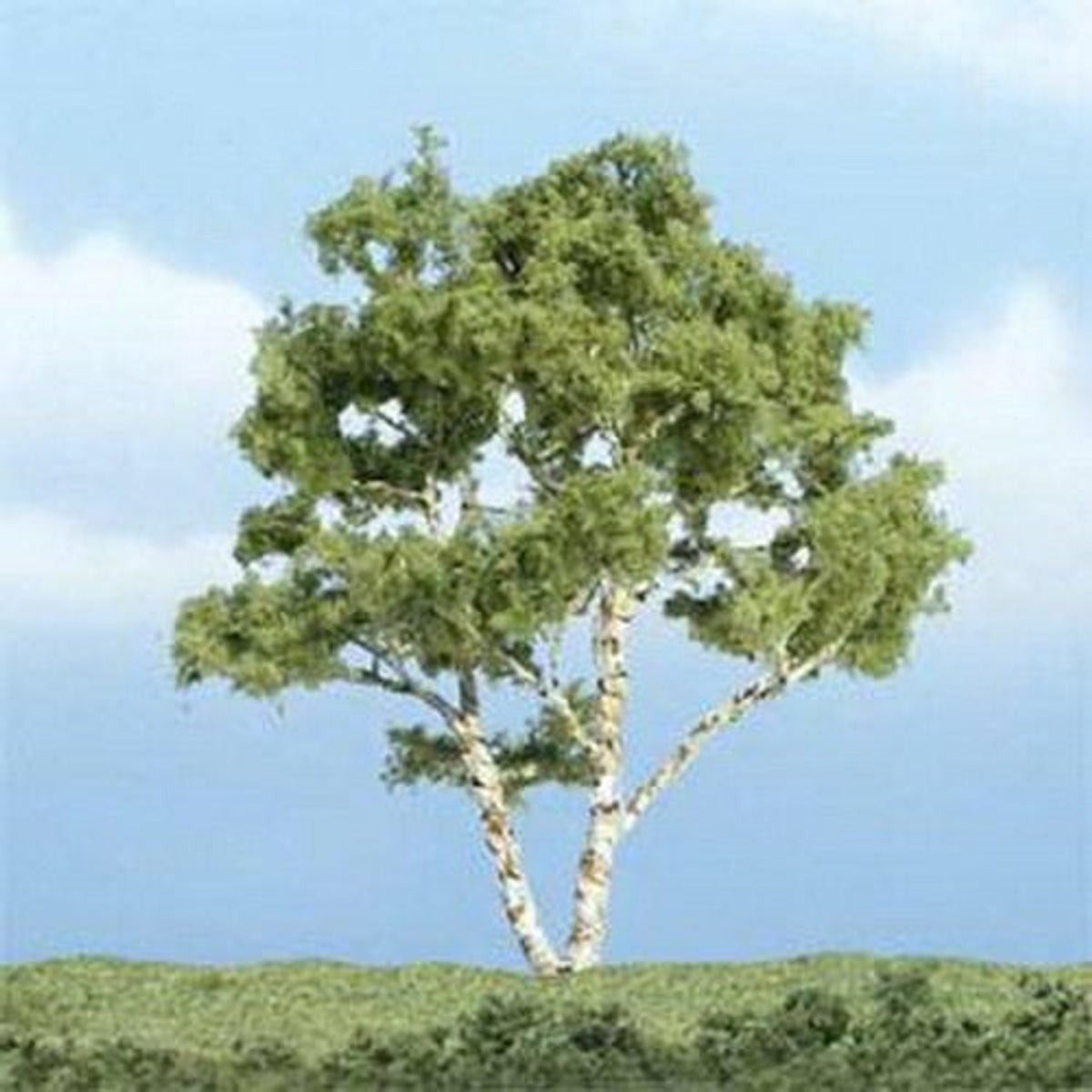 Woodland Scenics Ready Made Premium Trees Deciduous Birch 3-7/8" (9.8cm)
