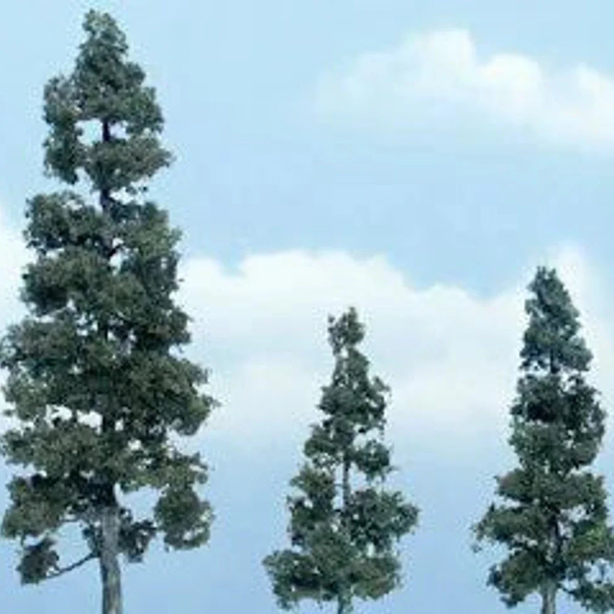 Woodland Scenics Ready Made Premium Trees Deciduous Juniper 1 Each: 5-1/8, 2-5/8 & 3-1/2" (13, 6.7 & 8.9cm)